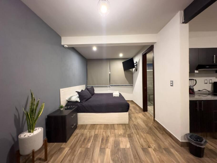 Apartamento Loft Moderno Boulevard *
